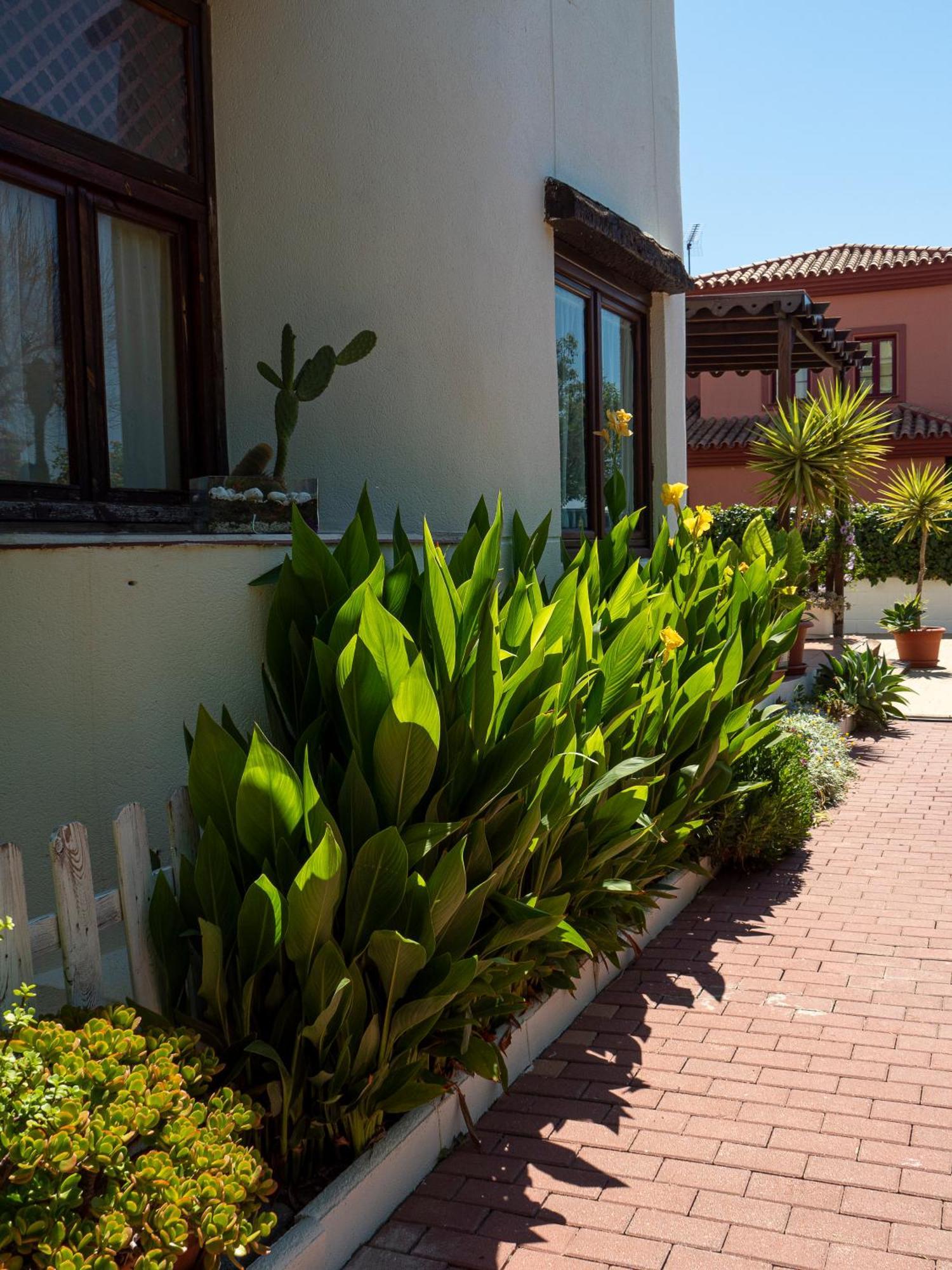 Villa Ibicenca Love Benalmádena Dış mekan fotoğraf